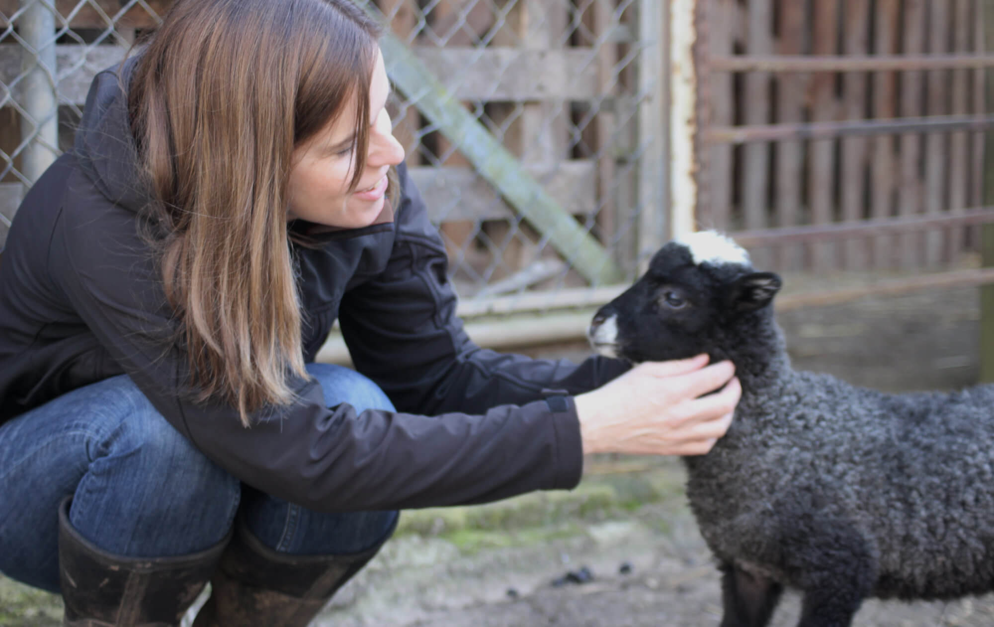 Rosy with lamb