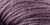 Colour/Farbe 231